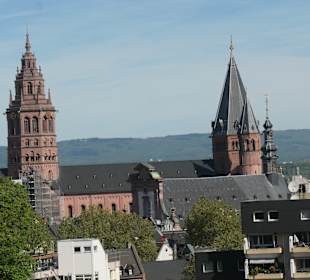 Blick von der Zitadelle zur Mainzer Altstadt