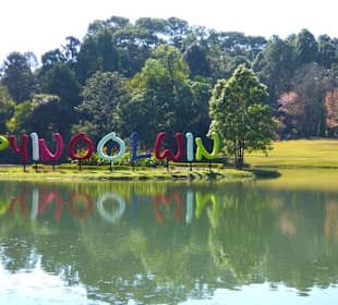 Schön gepflegte Anlage