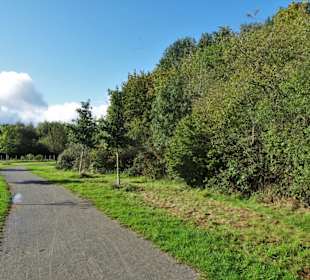 Rundgang durch den Landschaftspark Mühlenhunte