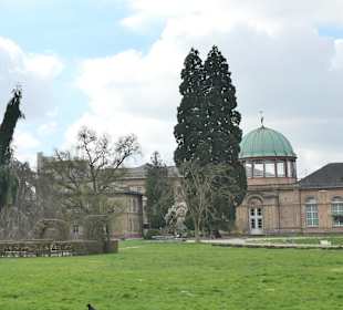 Orangerie und Hauptgebäude der Kunsthalle