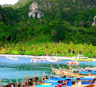 phi phi don