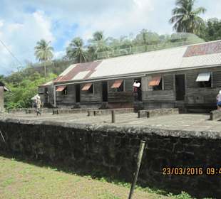 Plantage dient nur noch der Vorführung