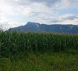 Auf der Laufstrecke in der unmittelbaren Umgebung des Hotels