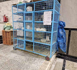 Pbst und Gemüsemarkt in Dahar