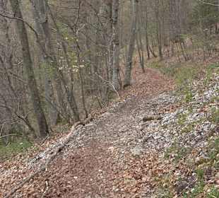 Eiszeitpfad - Burgfelsenpfad