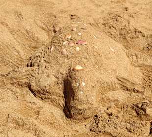 Praia de Nossa Senhora da Rocha