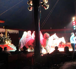 Landauer Weihnachtscircus 2015