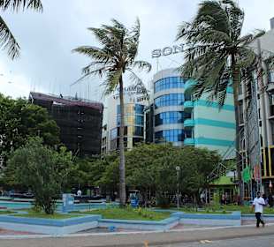 Male- City