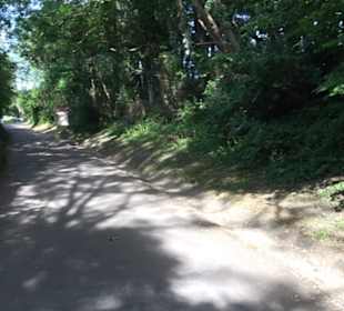 Kreuzweg Wurmlinger Kapelle
