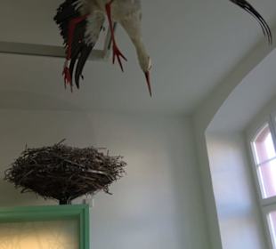 Museum Natur und Mensch