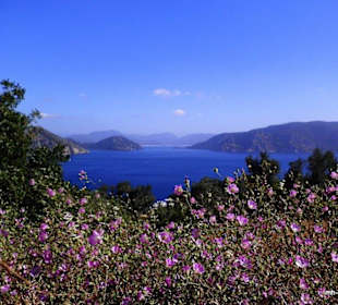 Traumhafte Natur, im Hintergrund Marmaris