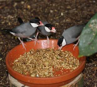 ZOOM Erlebniswelt Gelsenkirchen