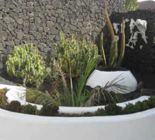 Fundacion Cesar Manrique