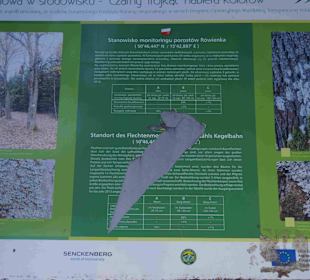 Riesengebirge/Karkonosze