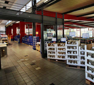 Bahlsen auf der Galerie