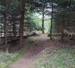 Wandern Friedrichroda