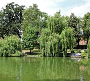 Spaziergang durch den Tierpark Röhrensee