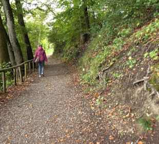 Pumptrack und Skatepark