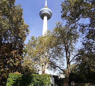 Luisenpark mit Fernmeldeturm