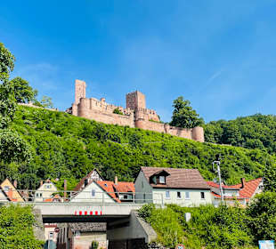Wandern Dammbach