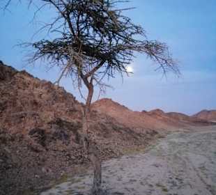 Vollmond in der Wüste 💕