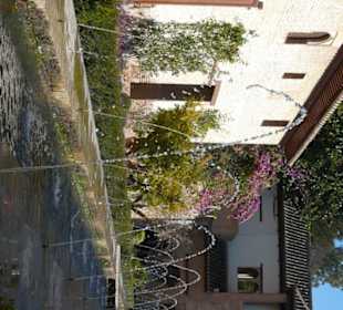 Dettaglio del giardino