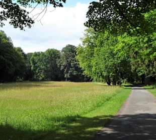 Impressionen vom Rundgang durch den Bamberger Hain