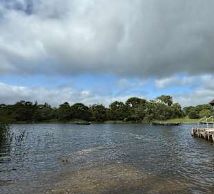 Killarney National Park