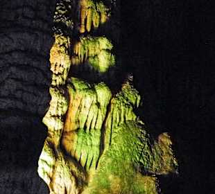 Millionen Jahre alt.