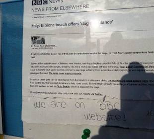 Info Pluto - Hundestrand