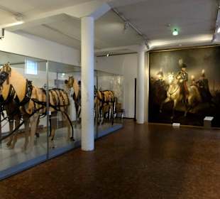 Rundgang durch das Deutsche Pferdemuseum