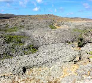 Weg zur Boka Wandomi