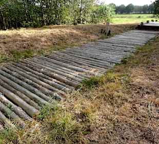 Der rekonstruierte Bohlenweg durch das Moor