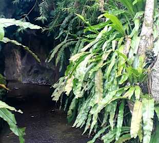 Botanischer Garten