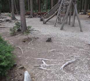 Dinosaurier Museum Altmühltal