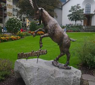 Wappen von Mayerhofen