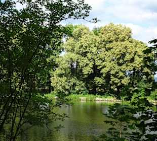 Rundgang durch den Bamberger Hain