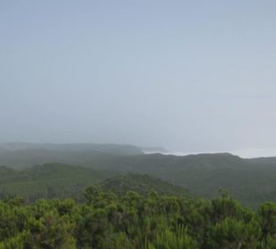Nationalpark Garajonay
