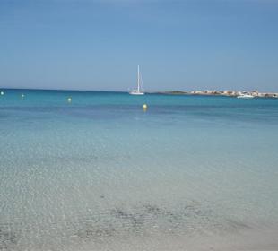 Was soll man dazu noch sagen