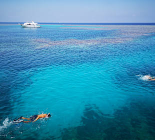 Delphintour mit Alex Hurghada