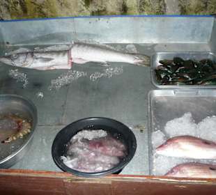 Auswahl im Coconut Groove