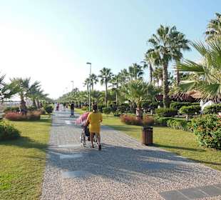 Promenade sieht super aus