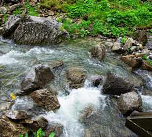 Der Plöckenpass 06-2011