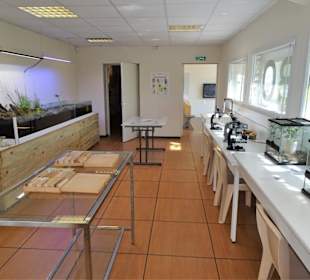 Forschung und Ausstellung im Jardin Méditerranéen