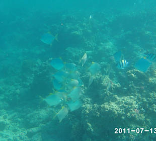 Hotel Sol Y Mar Makadi Sun