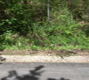 Römisches Freilichtmuseum Hechingen-Stein