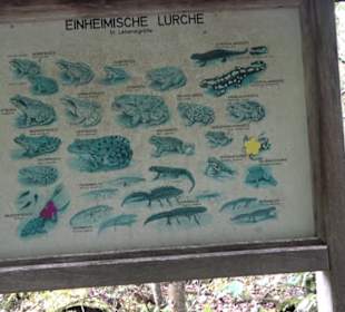 Schießstattweiher