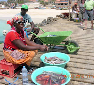Fischverkäufer