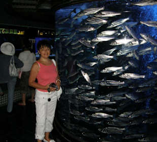 Экскурсия по княжеству монако!