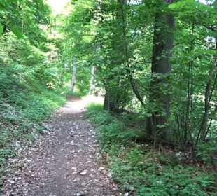 Premiumwanderweg "hochgelegen"